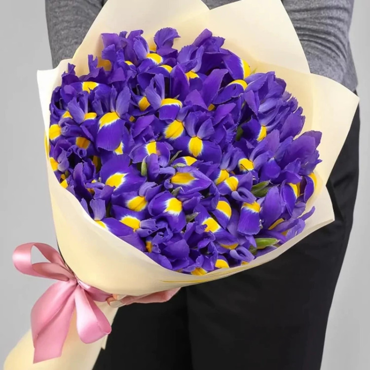 پیاز گل زنبق (پیازی) الوان