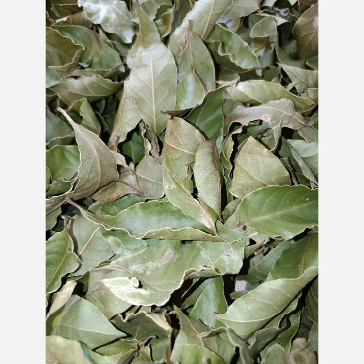 برگ بو خشک شده