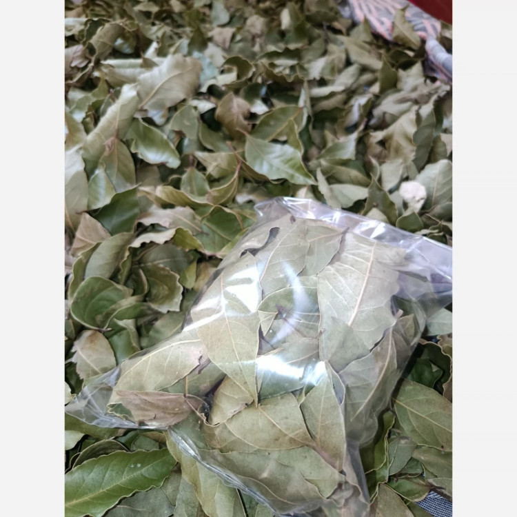 برگ بو خشک شده