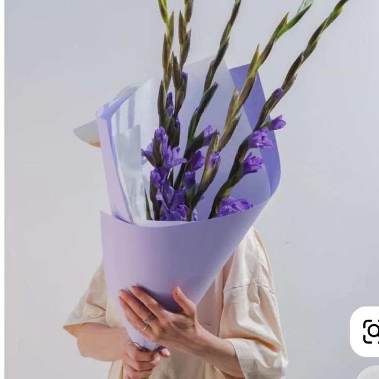 پیاز گلایل رنگ بنفش (پک سه عددی)