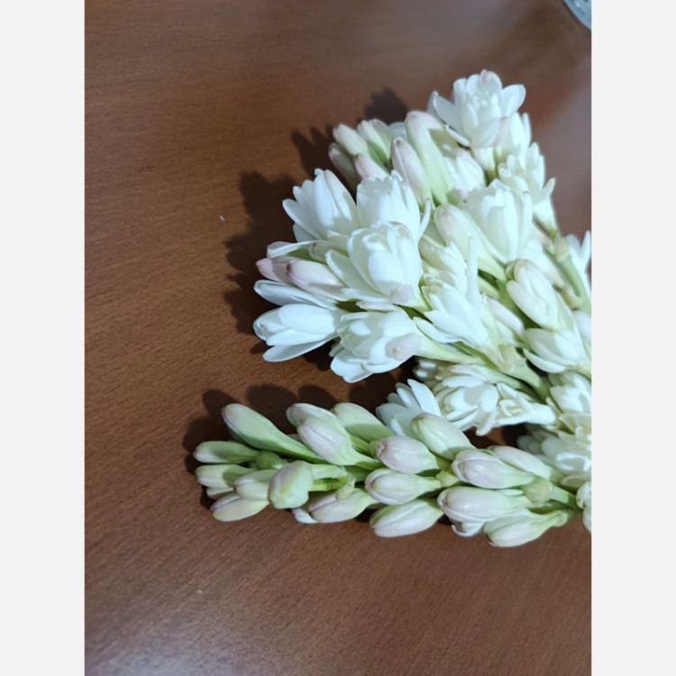 پیاز گل مریم (معطر) پک سه عددی