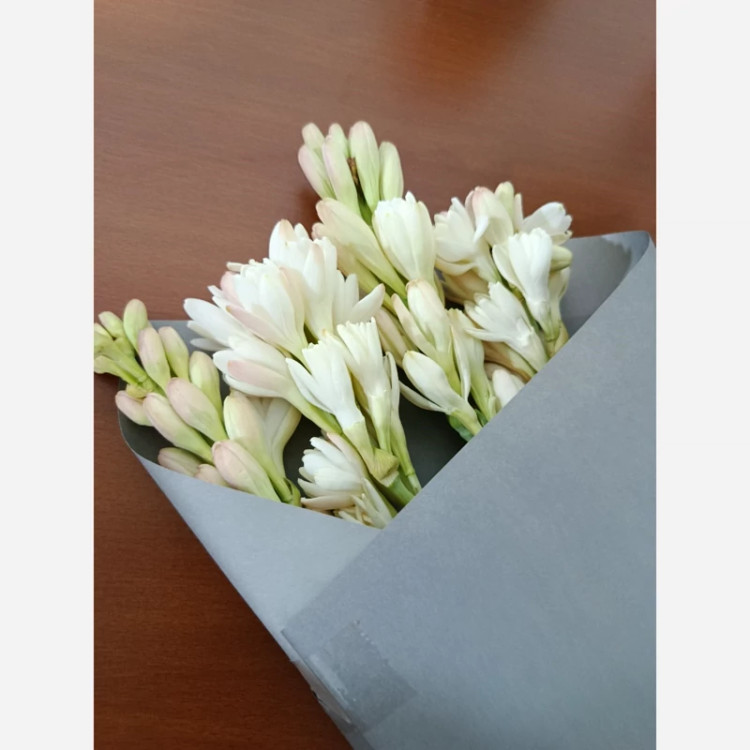 پیاز گل مریم (معطر) پک سه عددی